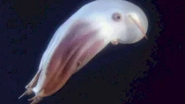 Photo du film : Aliens of the deep