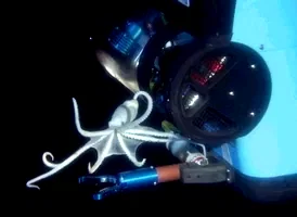 Photo 3 du film : Aliens of the deep