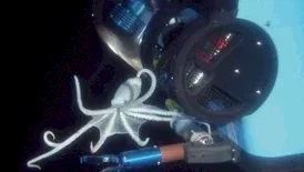 Photo du film : Aliens of the deep