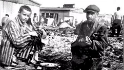 Photo 2 du film : Noirs dans les camps nazis