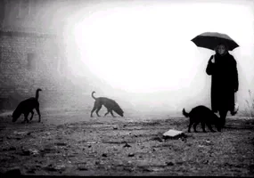 Photo 4 du film : Damnation