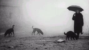 Photo du film : Damnation