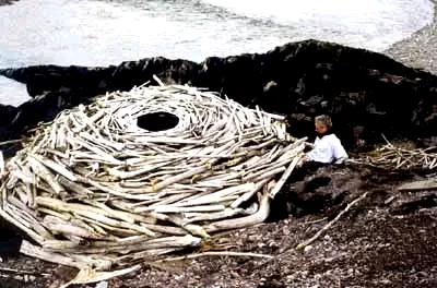 Photo 4 du film : Rivers and tides