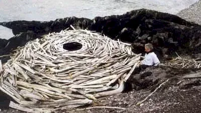 Photo 4 du film : Rivers and tides