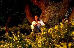 Photo 2 du film : Nordeste