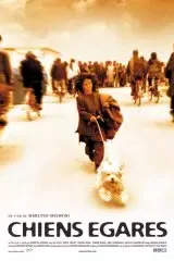 Affiche du film : Chiens égarés