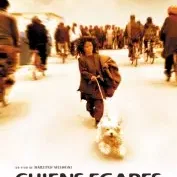 Photo du film : Chiens égarés