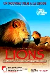 Affiche du film : Lions : combat de rois au kalahari