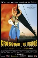 Affiche du film = Crossing the bridge