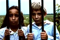 Photo 3 du film : L'avion
