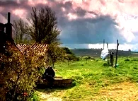 Photo 2 du film : Le ciel tourne