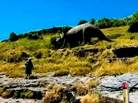 Photo 4 du film : Le ciel tourne
