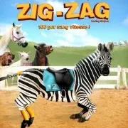 Photo du film : Zig zag