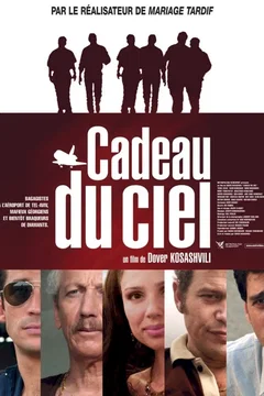Affiche du film Cadeau du ciel