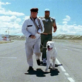 Photo du film : Bombon el perro