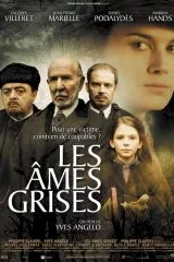 Affiche du film Les Ames grises