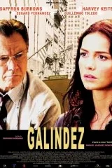 Affiche du film Galindez