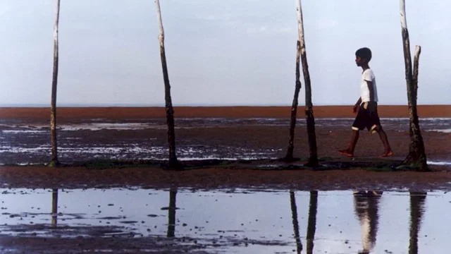 Photo du film : La vie sur l'eau