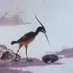 Miniature photo du film : Les trois moines et autres histoires