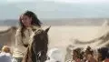 Photo 2 du film : Zaïna, cavalière de l'atlas