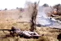 Photo du film : Gallipoli, la bataille des Dardanelles