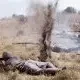 Photo du film : Gallipoli, la bataille des Dardanelles