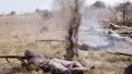 Photo 3 du film : Gallipoli, la bataille des Dardanelles