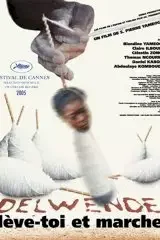 Affiche du film : Delwende, lève-toi et marche