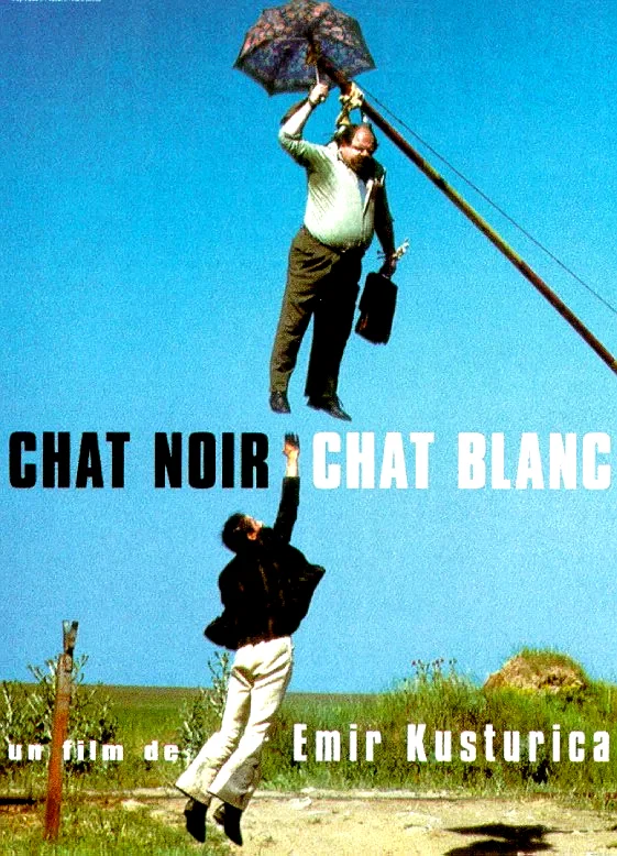 Affiche du film : Chat noir, chat blanc