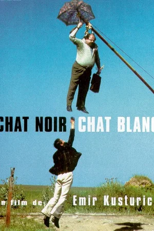 Affiche du film : Chat noir, chat blanc