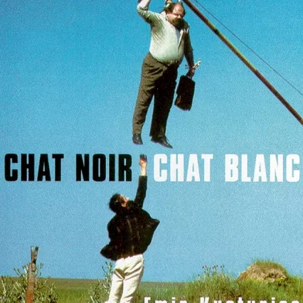 Miniature photo du film : Chat noir, chat blanc