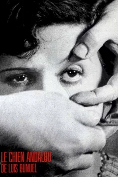 Affiche du film Un chien andalou