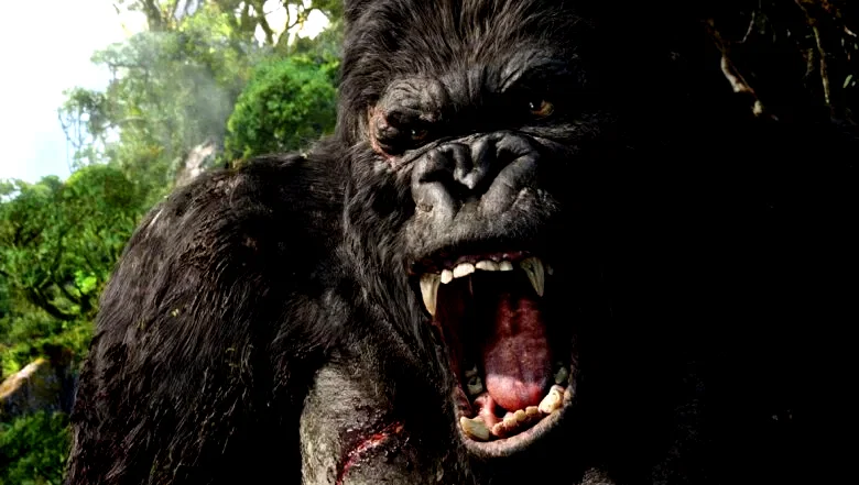Photo 19 du film : King Kong