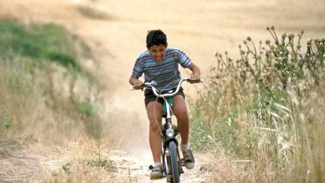 Photo 4 du film : L'été où j'ai grandi