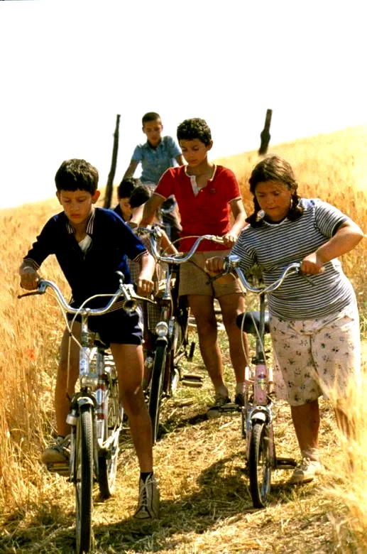 Photo du film : L'été où j'ai grandi