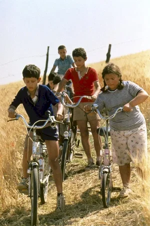 Photo 5 du film : L'été où j'ai grandi