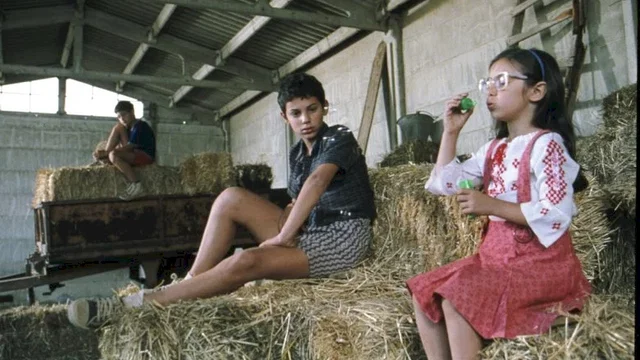 Photo 7 du film : L'été où j'ai grandi
