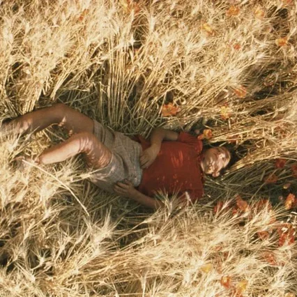 Miniature photo du film : L'été où j'ai grandi