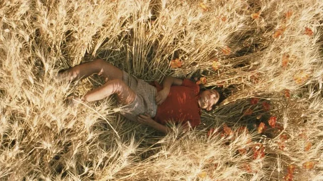 Photo 8 du film : L'été où j'ai grandi