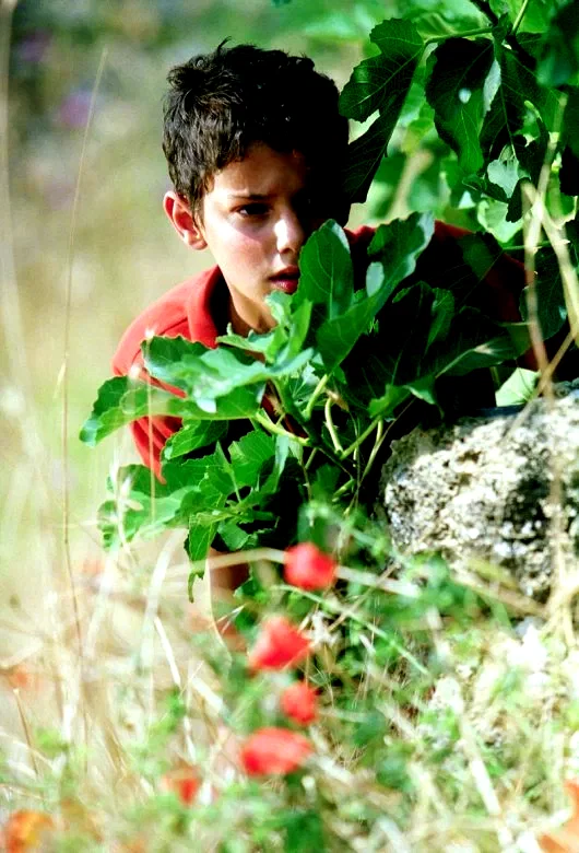 Photo du film : L'été où j'ai grandi