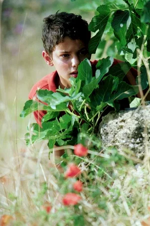 Photo 12 du film : L'été où j'ai grandi
