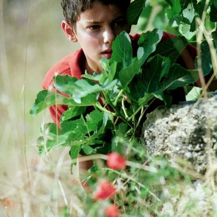 Miniature photo du film : L'été où j'ai grandi