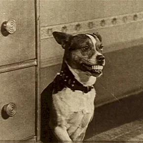 Photo du film : Charley chase follies