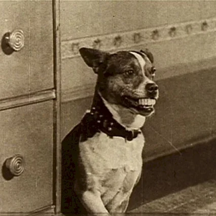 Miniature photo du film : Charley chase follies