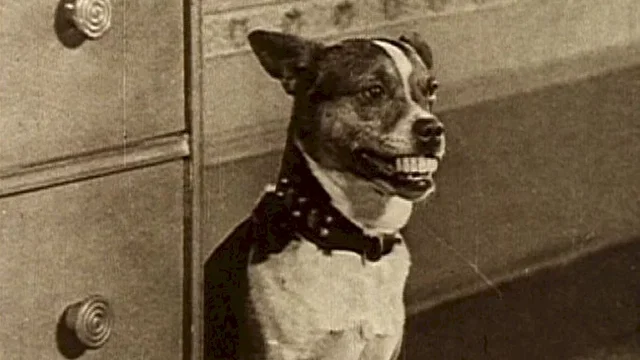 Photo 4 du film : Charley chase follies