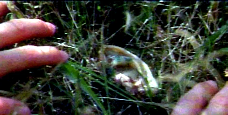 Photo 2 du film : Blue velvet