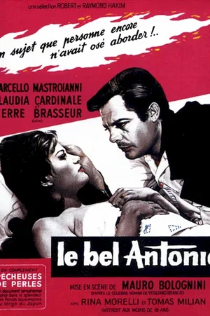 Affiche du film : Le bel antonio