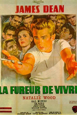 Affiche du film : La fureur de vivre
