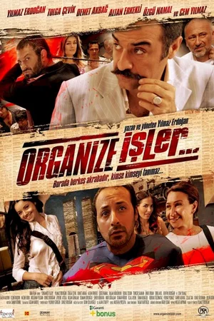 Affiche du film : Les affaires organisees