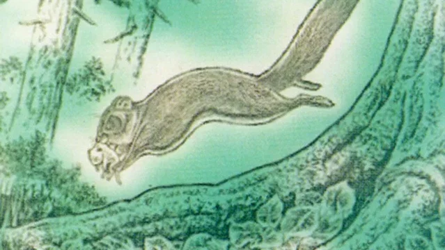 Affiche du film : La légende de la forêt